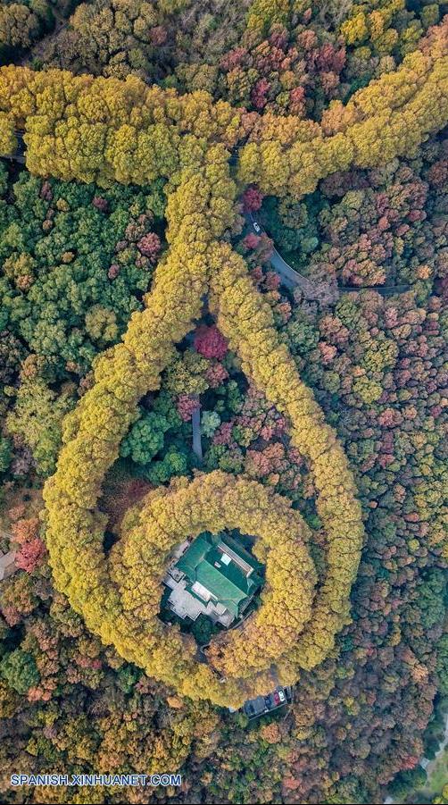 Jiangsu: Zona escénica Zhongshan en Nanjing