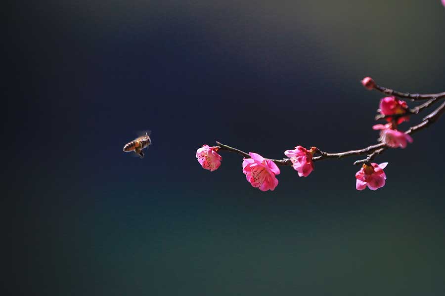 Cuando llega la primavera