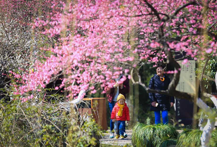 Cuando llega la primavera