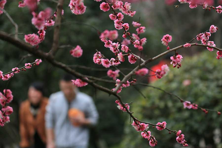 Cuando llega la primavera