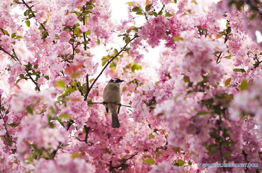 Paisaje en la primavera