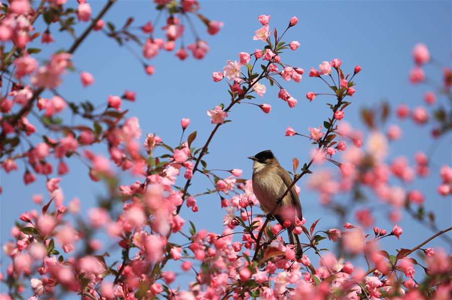 Paisaje en la primavera