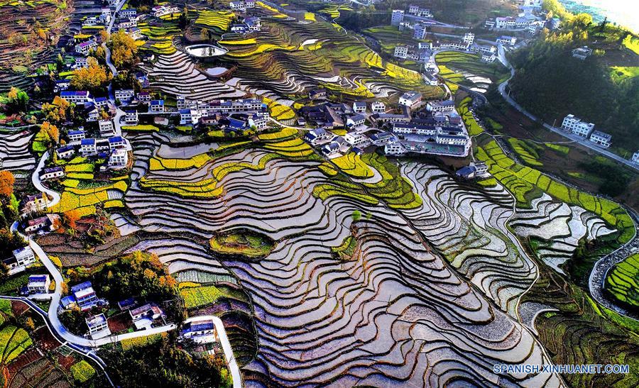 Vista aérea del paisaje de las Terrazas de Fengyan