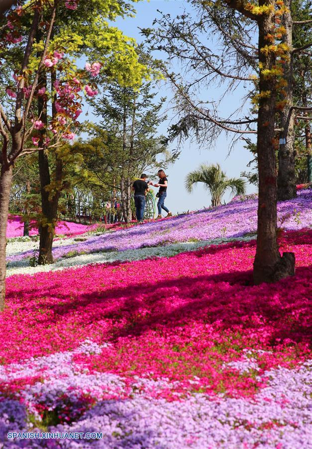 Jardín de Exposición Zhou Ji en Nantong