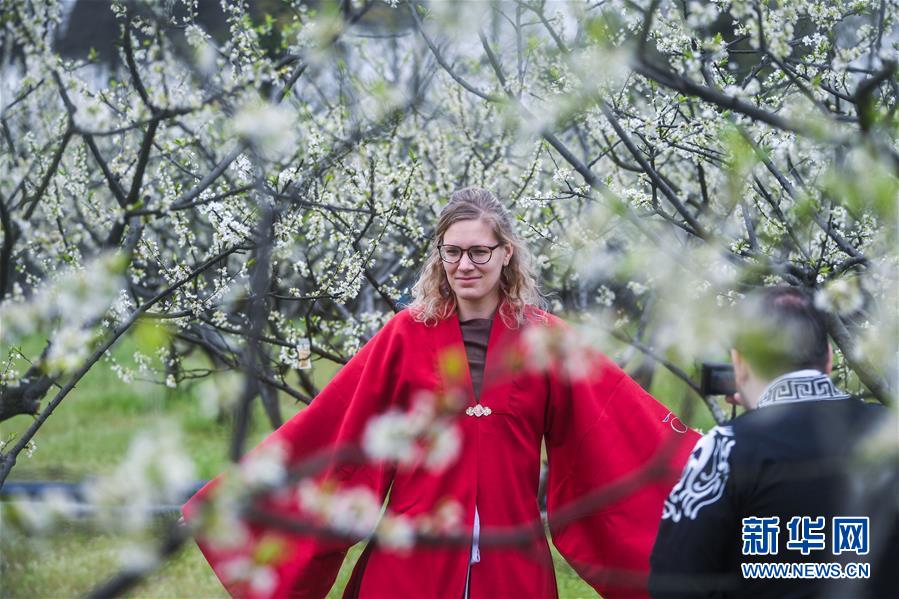 Varios extranjeros visten el tradicional traje Hanfu para disfrutar la primavera