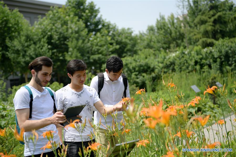 Estudiantes extranjeros estudian acupuntura en Shaanxi