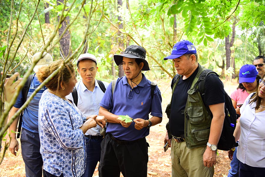 China y América Latina intensifican cooperación en agricultura tropical