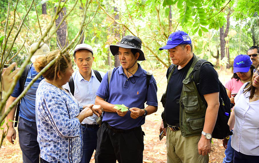 China y América Latina intensifican cooperación en agricultura tropical