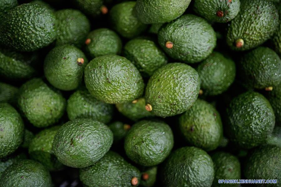 ESPECIAL: Entrada de aguacate hass de Colombia a China representa nuevo amanecer para agro del país latinoamericano