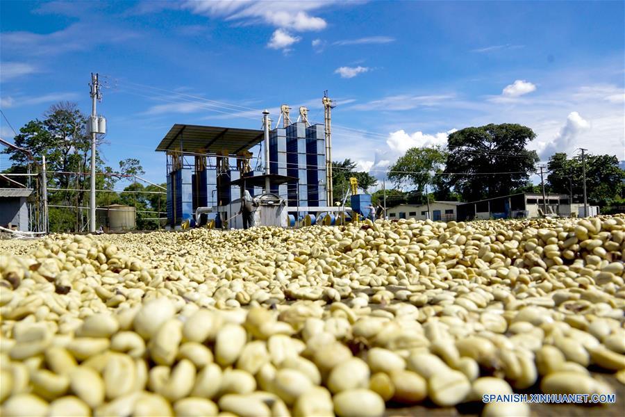 ESPECIAL: Cafetalero salvadoreño espera con CIIE en Shanghai ampliar exportaciones a China