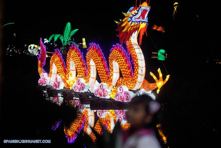 ESPECIAL: Enormes figuras chinas que representan biodiversidad iluminan jardín botánico de Bogotá