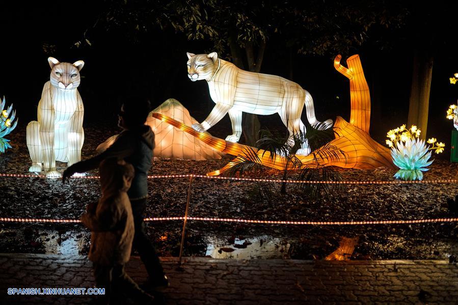 ESPECIAL: Enormes figuras chinas que representan biodiversidad iluminan jardín botánico de Bogotá