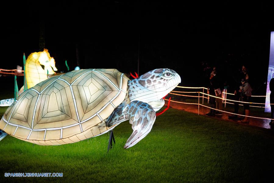 ESPECIAL: Enormes figuras chinas que representan biodiversidad iluminan jardín botánico de Bogotá