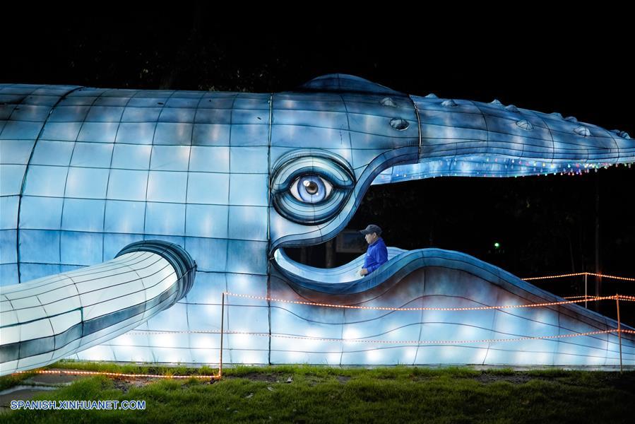 ESPECIAL: Enormes figuras chinas que representan biodiversidad iluminan jardín botánico de Bogotá