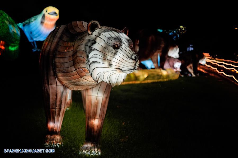 ESPECIAL: Enormes figuras chinas que representan biodiversidad iluminan jardín botánico de Bogotá