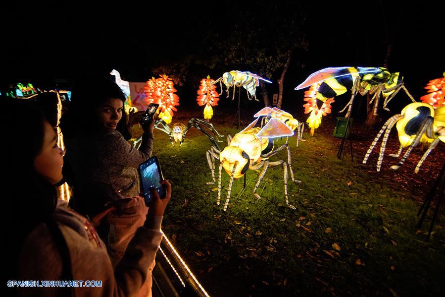 ESPECIAL: Enormes figuras chinas que representan biodiversidad iluminan jardín botánico de Bogotá