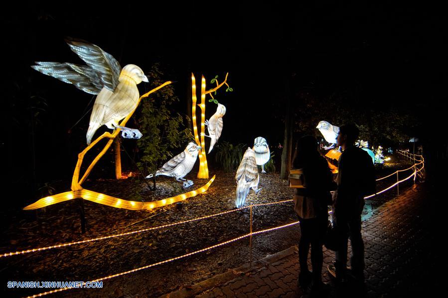 ESPECIAL: Enormes figuras chinas que representan biodiversidad iluminan jardín botánico de Bogotá