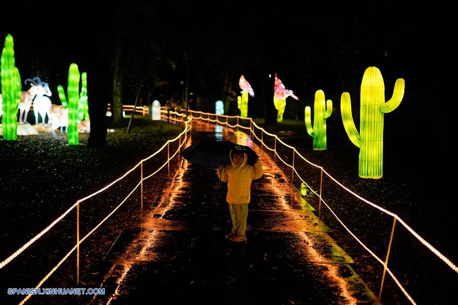 ESPECIAL: Enormes figuras chinas que representan biodiversidad iluminan jardín botánico de Bogotá