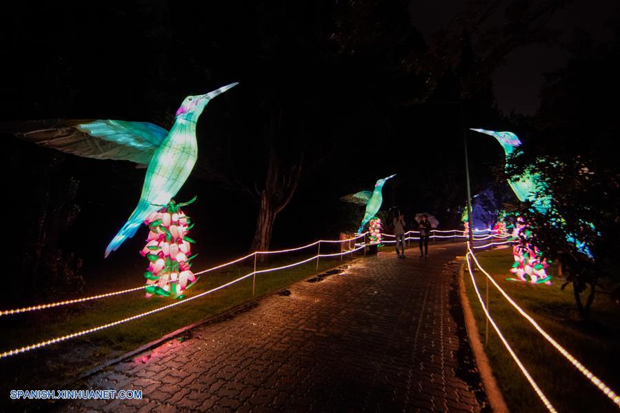 ESPECIAL: Enormes figuras chinas que representan biodiversidad iluminan jardín botánico de Bogotá