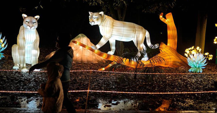 ESPECIAL: Enormes figuras chinas que representan biodiversidad iluminan jardín botánico de Bogotá