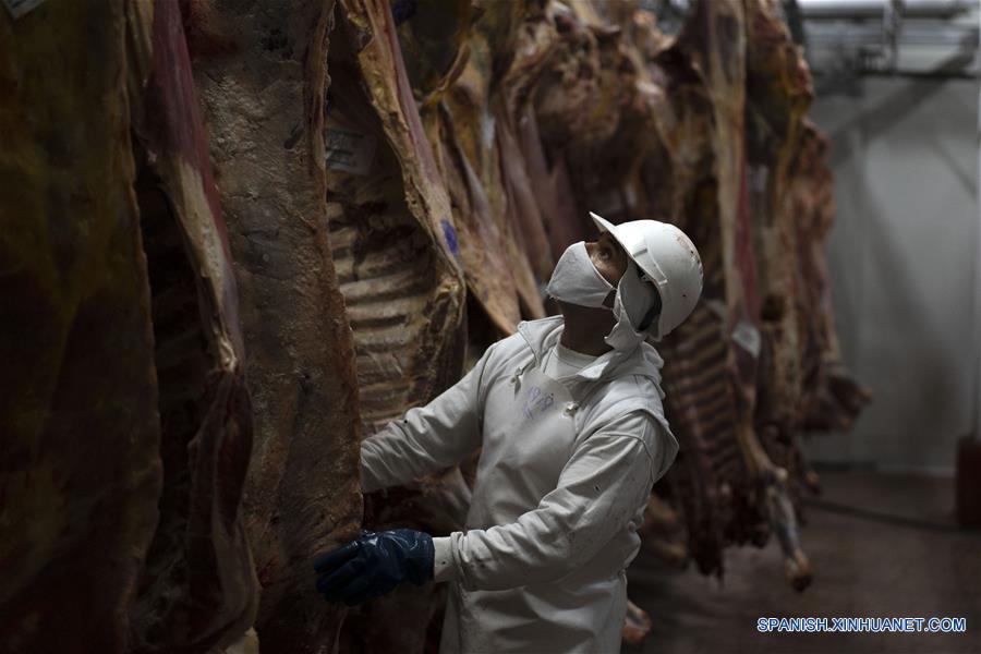 ESPECIAL: Argentina lleva sus carnes "premium" a la tercera CIIE