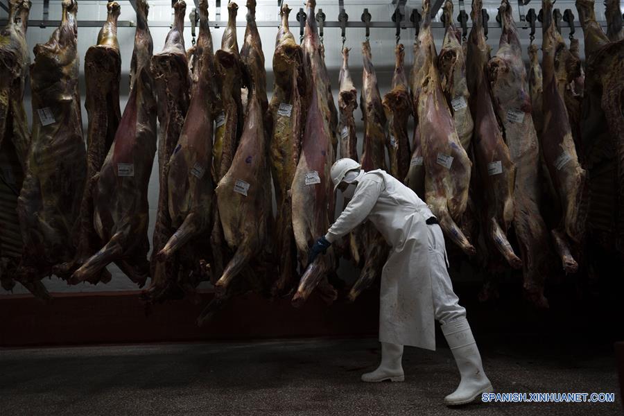 ESPECIAL: Argentina lleva sus carnes "premium" a la tercera CIIE