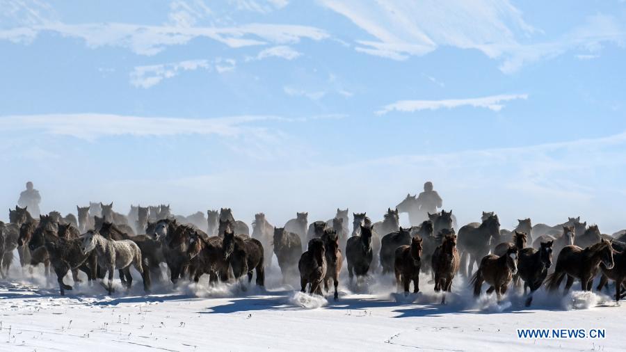 Xinjiang: Zhaosu, área de turismo equino