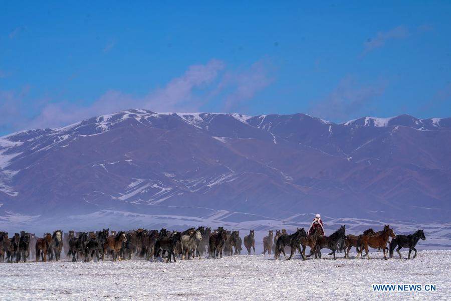 Xinjiang: Zhaosu, área de turismo equino