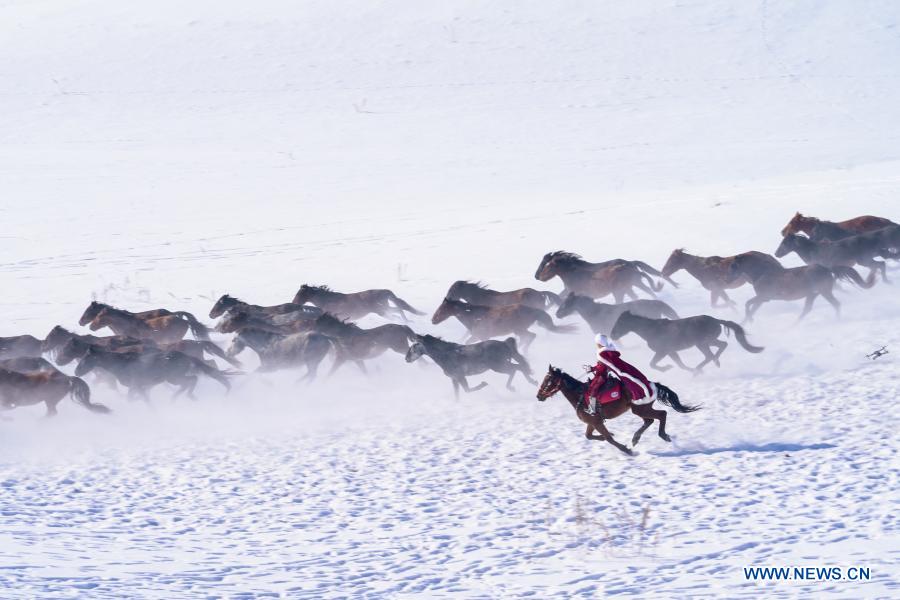 Xinjiang: Zhaosu, área de turismo equino