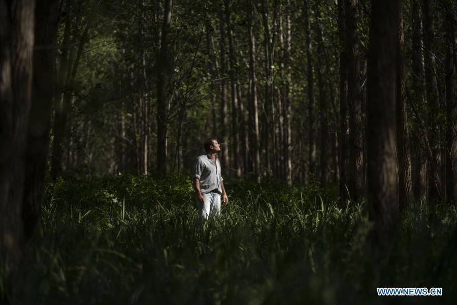 ESPECIAL: Reducción arancelaria de China beneficia producción forestal argentina