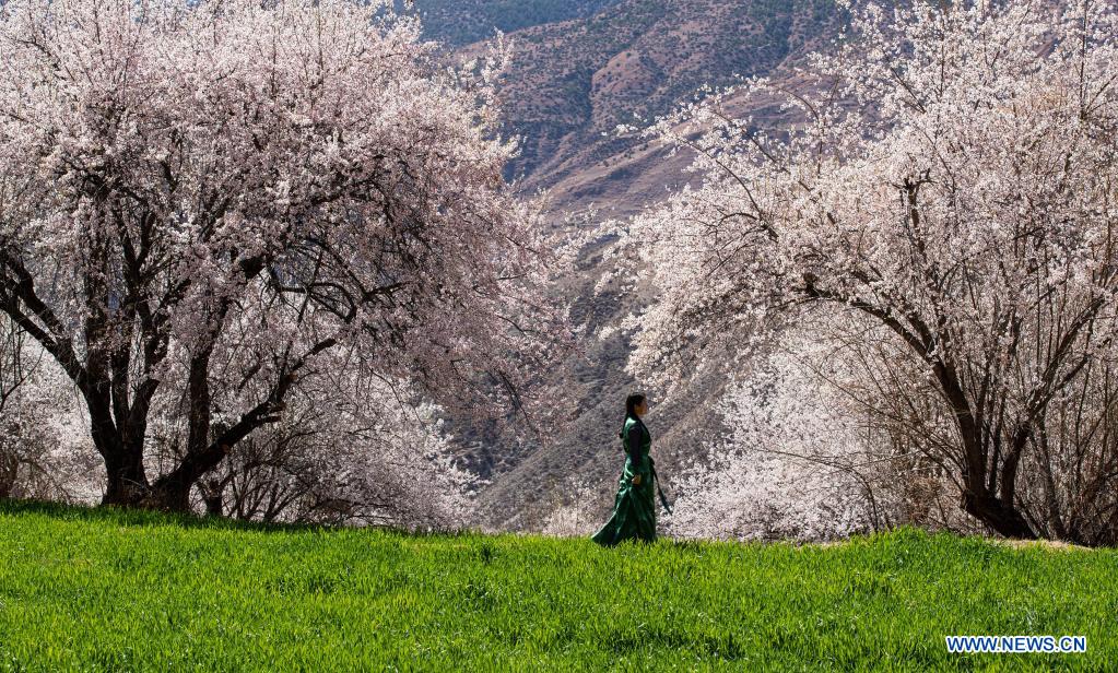 Gobierno local aprovecha recursos naturales para desarrollar turismo rural en distrito de Derong, Sichuan