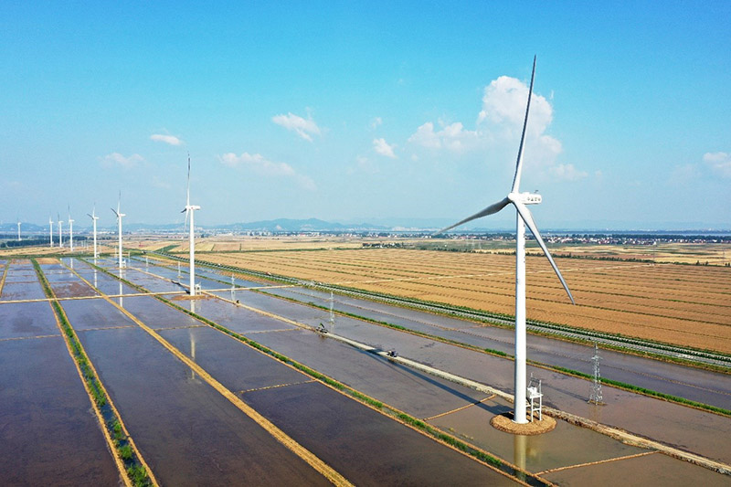 China ayuda a construir un mundo más limpio y bonito a través del desarrollo verde