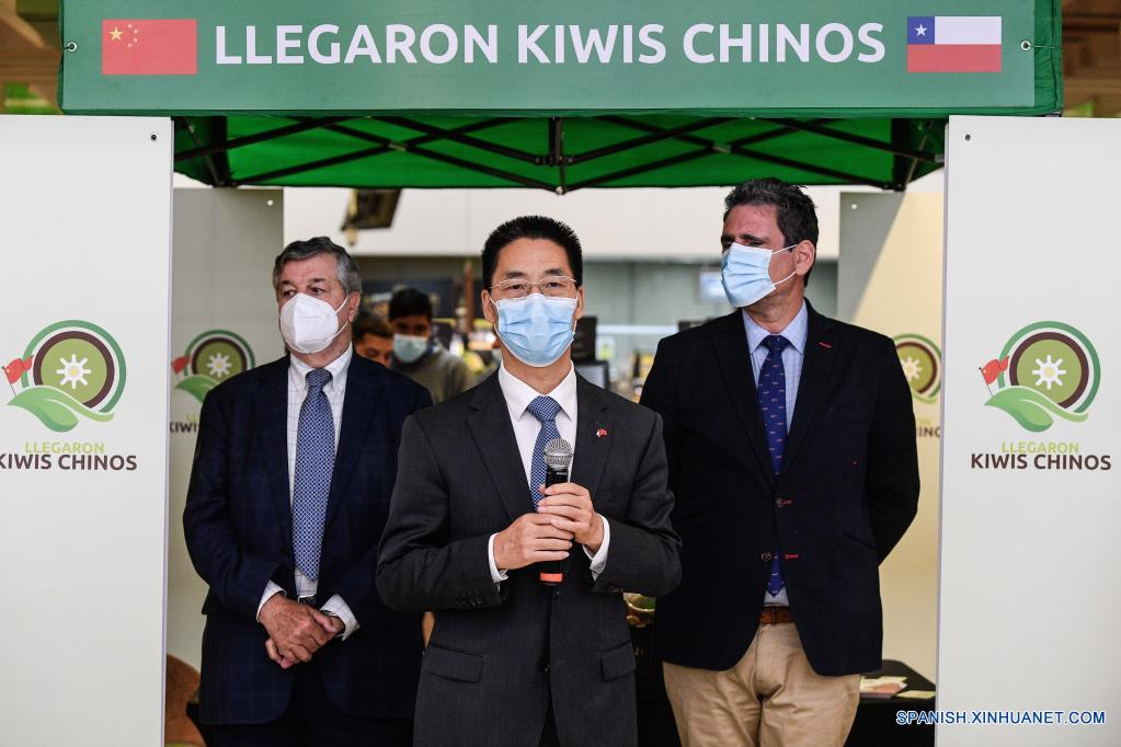 Kiwis chinos debutan en mercado chileno para satisfacer demanda de frutas de contraestación