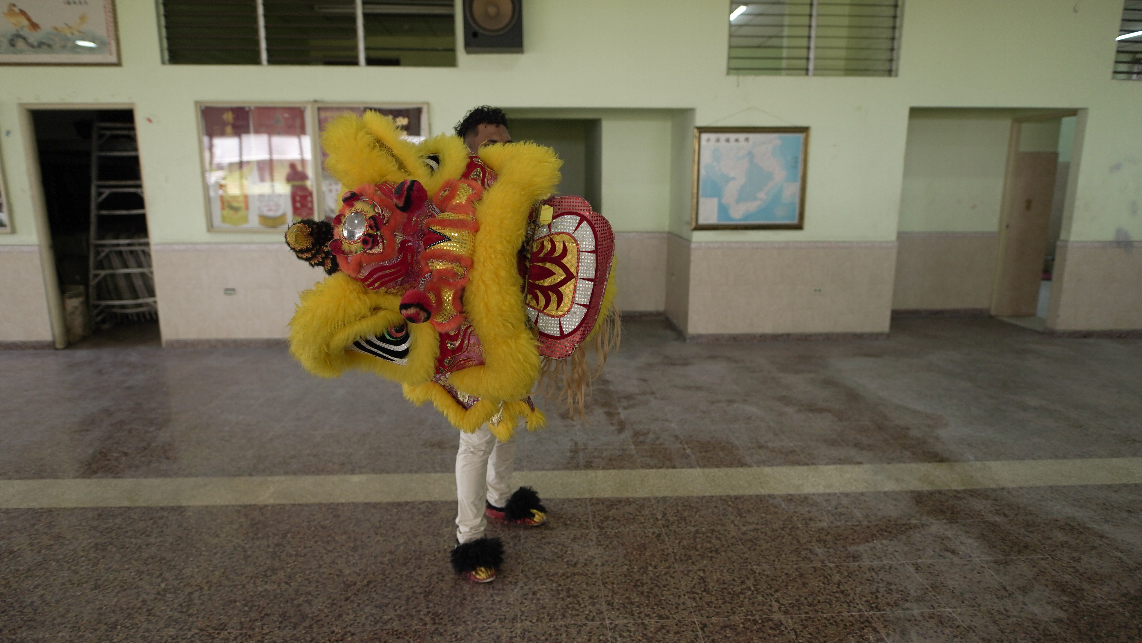 Panamá: Grupo de Danza del León de La Chorrera practica para celebración del Año Nuevo Lunar chino