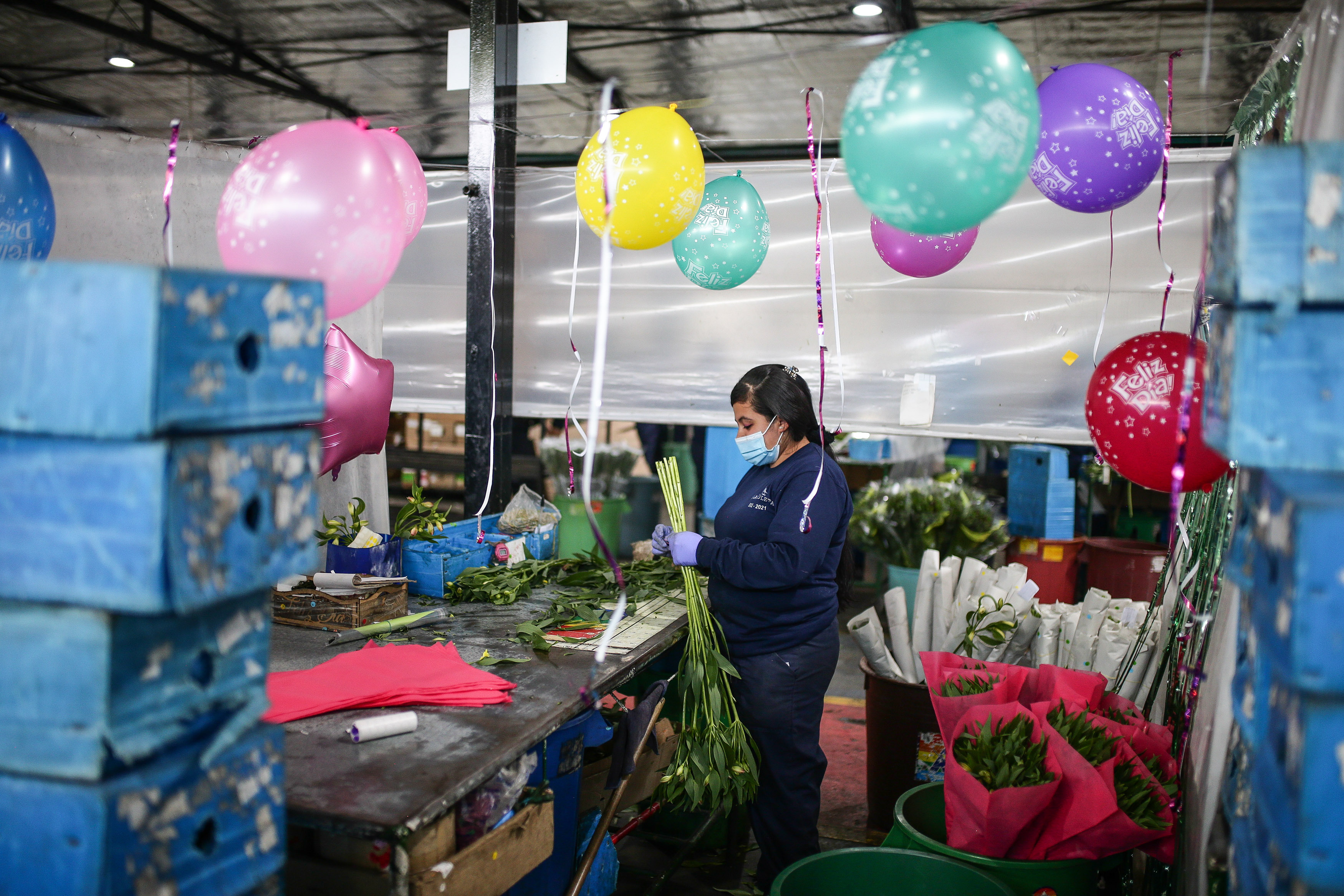 Crece exportación de flores colombianas tras crisis ocasionada por COVID-19