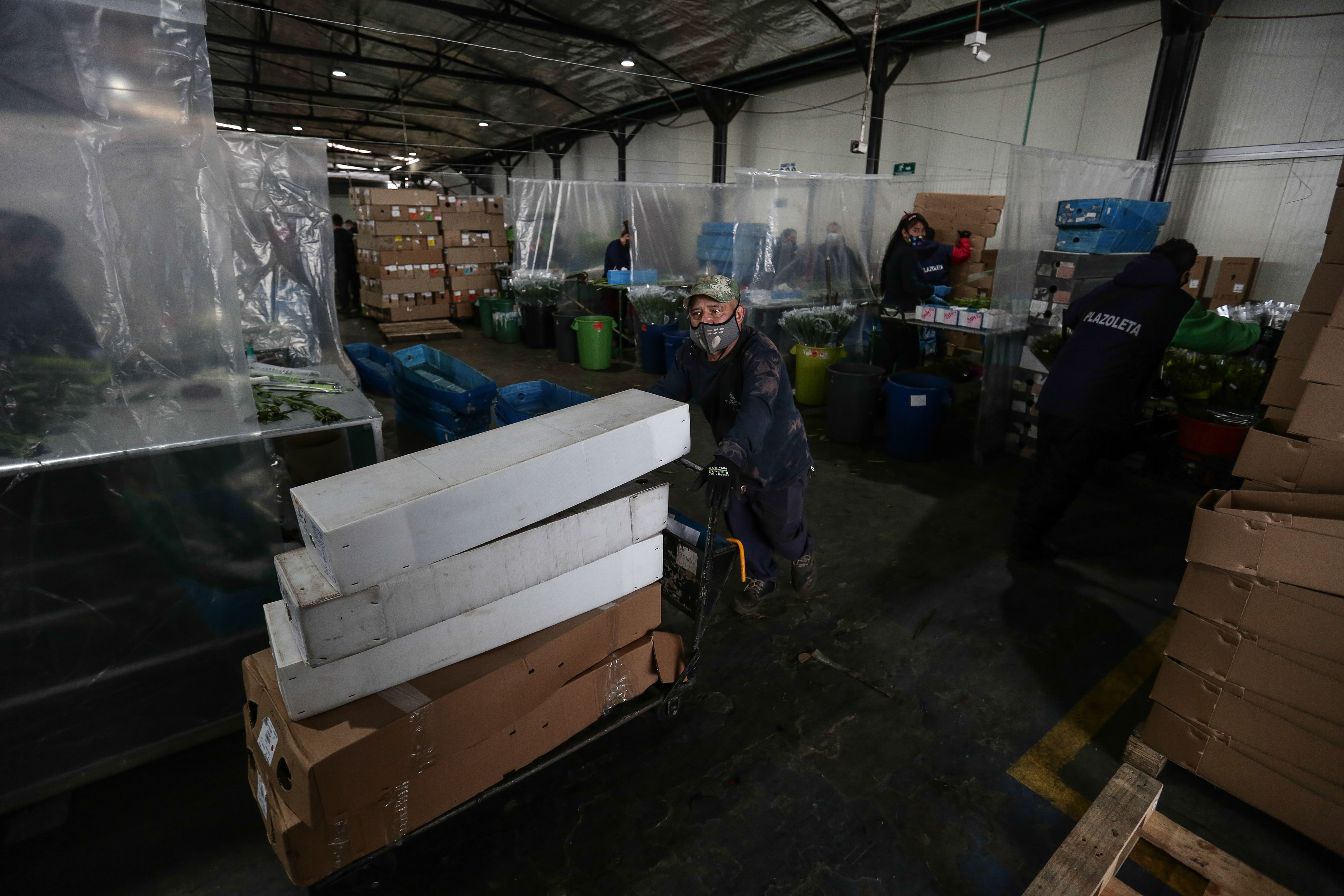 Crece exportación de flores colombianas tras crisis ocasionada por COVID-19