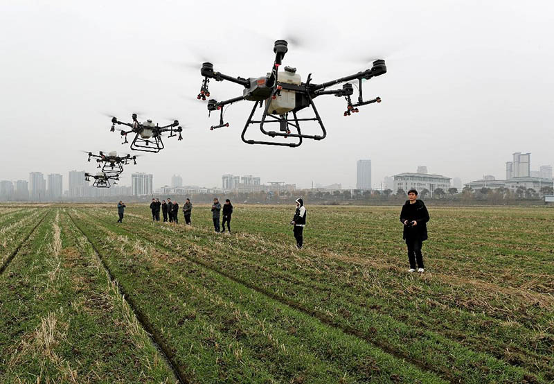 Tecnología digital de vanguardia para la vitalización rural en China