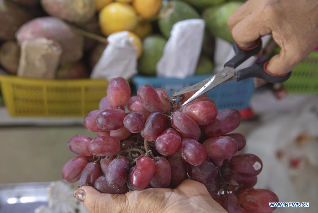 Variedad de uvas convierte a Perú en primer exportador mundial del producto en 2021, destaca presidenta de Promperú