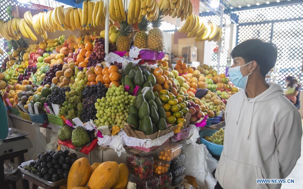 Variedad de uvas convierte a Perú en primer exportador mundial del producto en 2021, destaca presidenta de Promperú