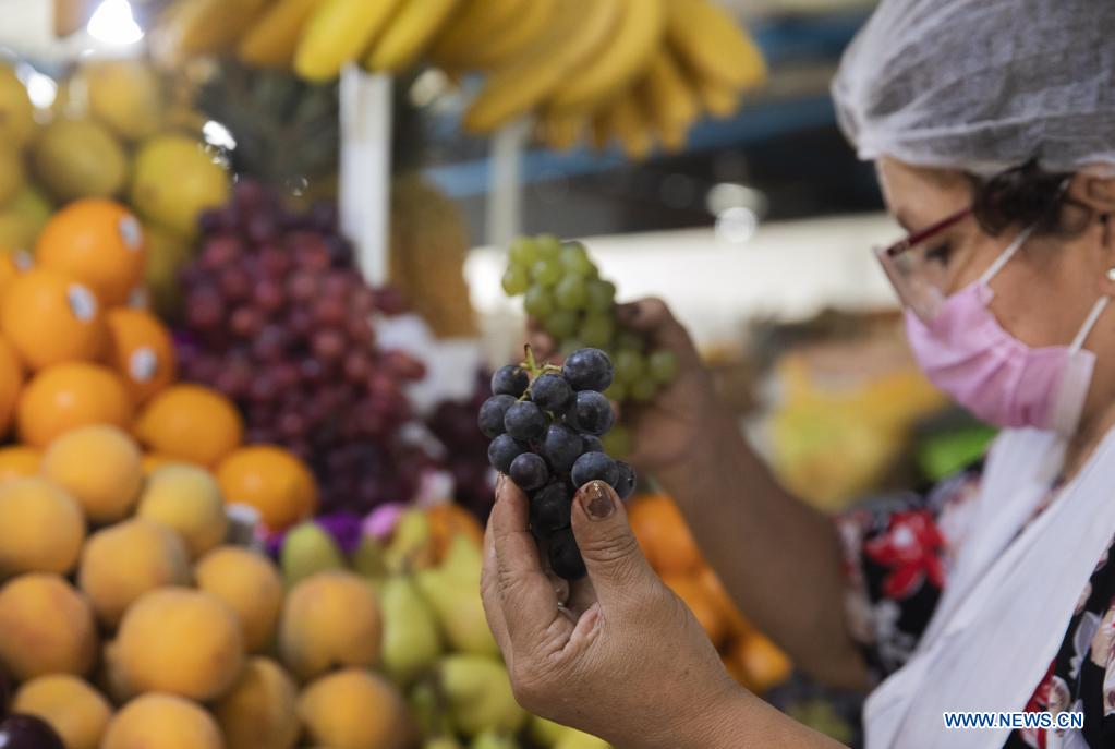 Variedad de uvas convierte a Perú en primer exportador mundial del producto en 2021, destaca presidenta de Promperú