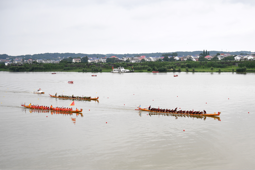 Carrera de botes del dragón se celebra en Miluo, Hunan