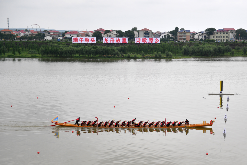 Carrera de botes del dragón se celebra en Miluo, Hunan