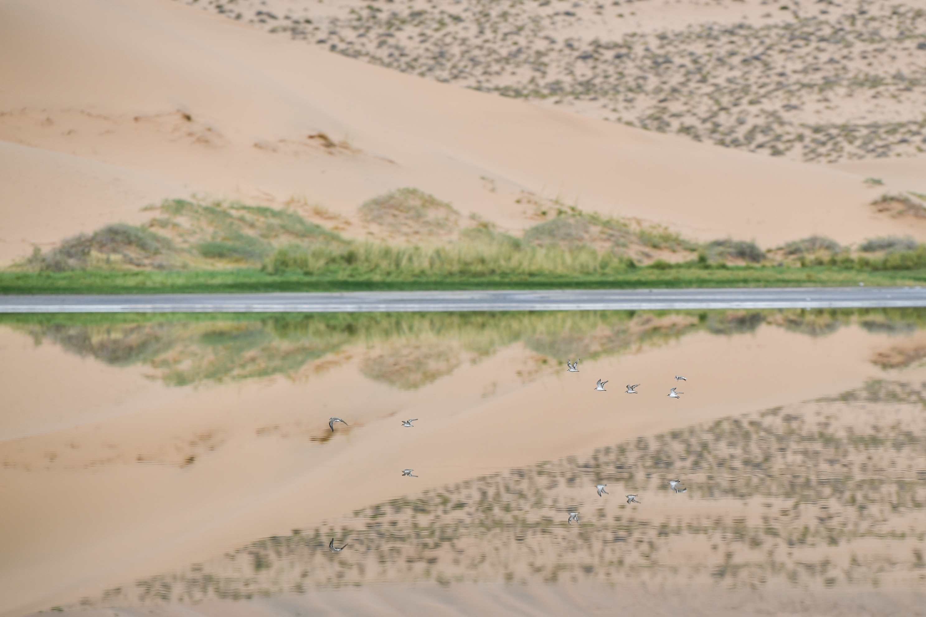 Desierto de Badain Jaran en Mongolia Interior