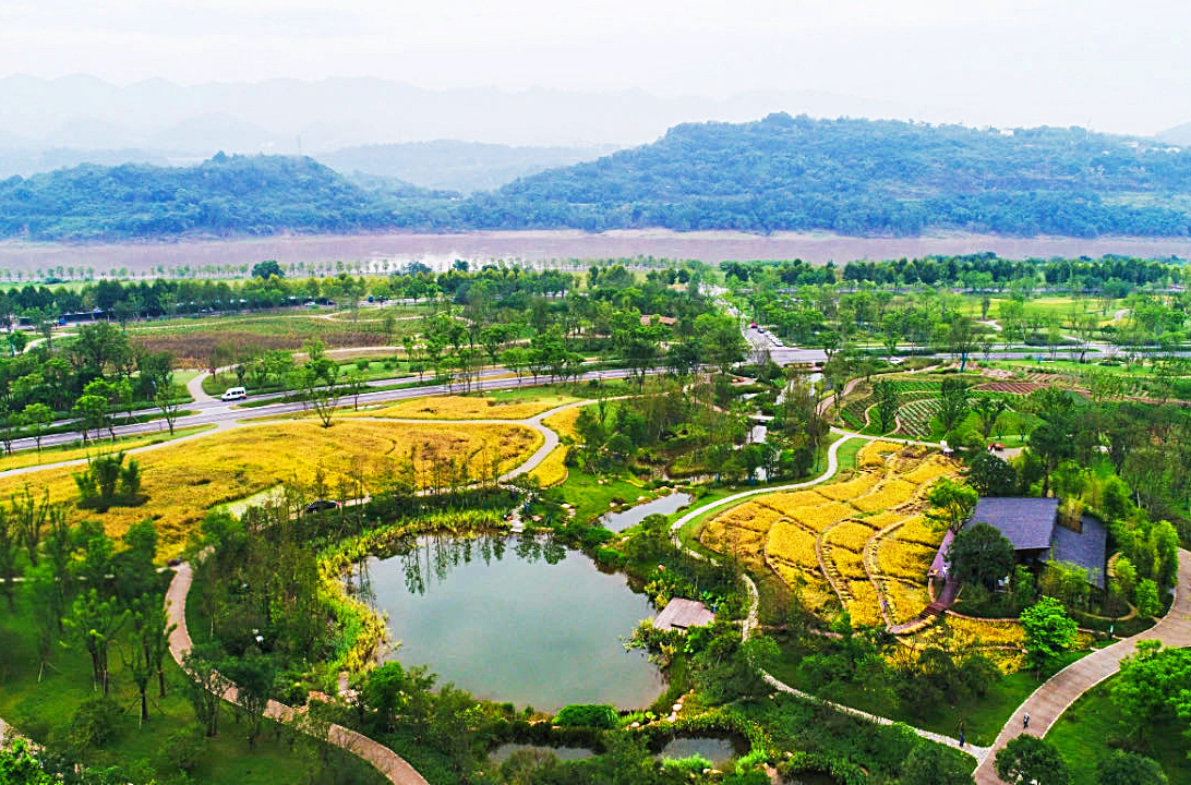 Proyecto de demostración de desarrollo verde de la Franja Económica del Río Yangtsé en el área de la isla Guangyang, Chongqing