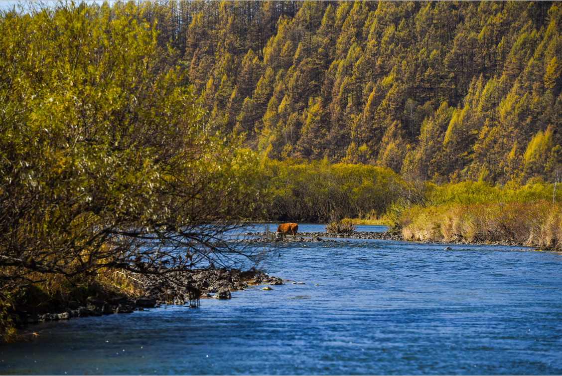 Mongolia Interior: Paisaje del Parque Forestal Nacional Arxan