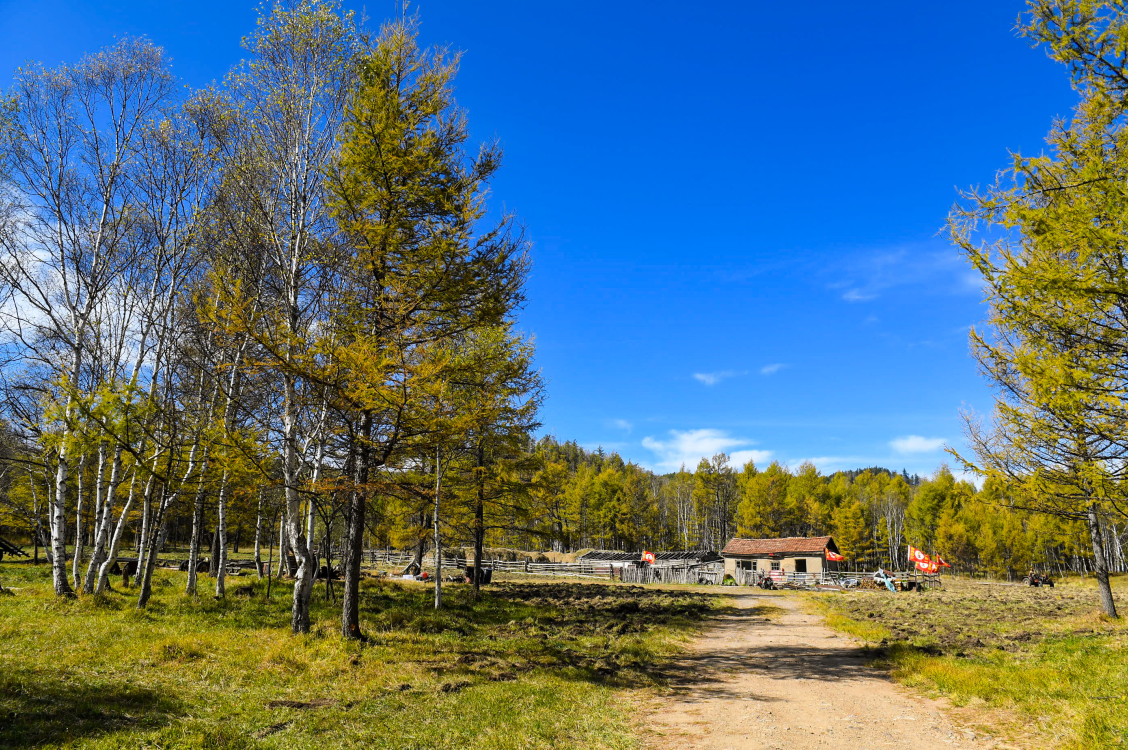 Mongolia Interior: Paisaje del Parque Forestal Nacional Arxan