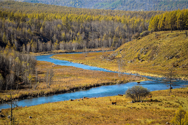 Mongolia Interior: Paisaje del Parque Forestal Nacional Arxan