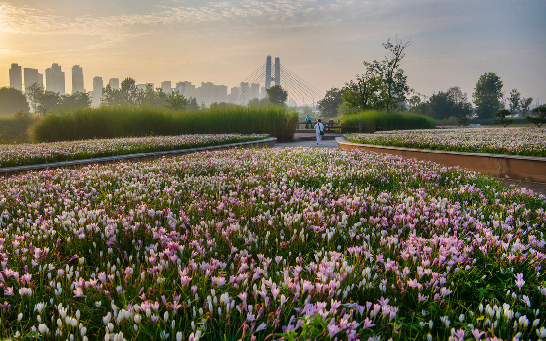 Shaanxi: Mejora del entorno ecológico en la ciudad de Hanzhong