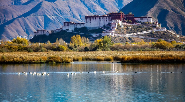 Paisaje del humedal Lhalu en Lhasa, Tíbet