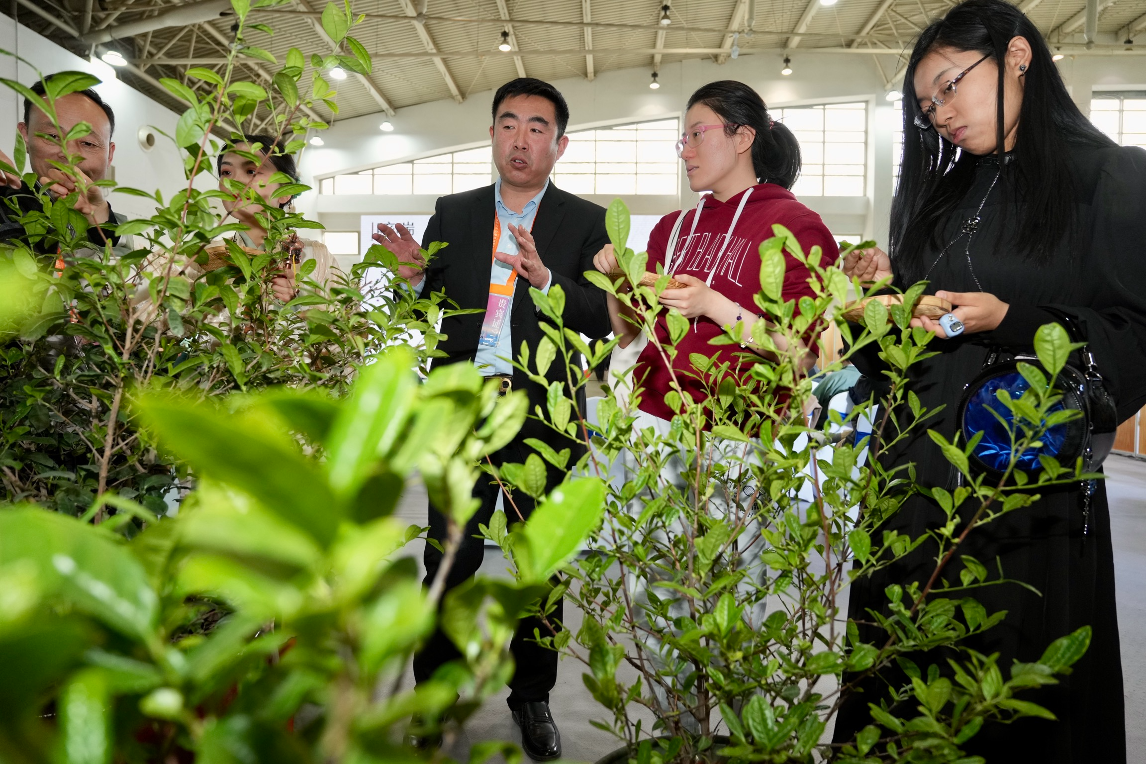 Exposición Internacional del Té y la Ceremonia del Té de Beijing